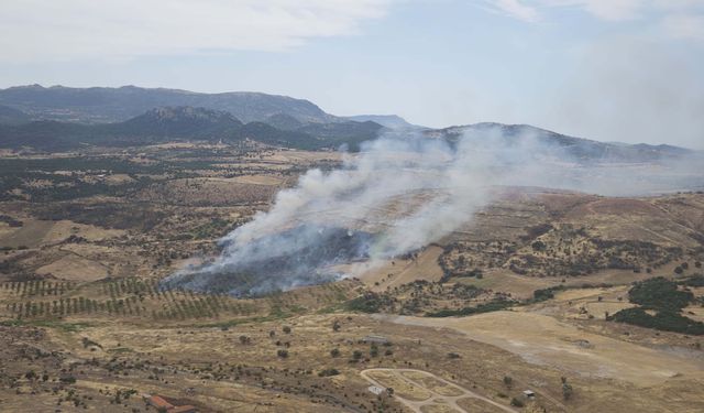 Çanakkale'de orman yangını kontrol altına alındı