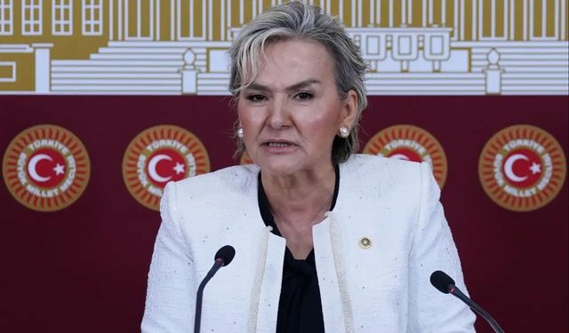 CHP İstanbul Milletvekili partisinden istifa etti