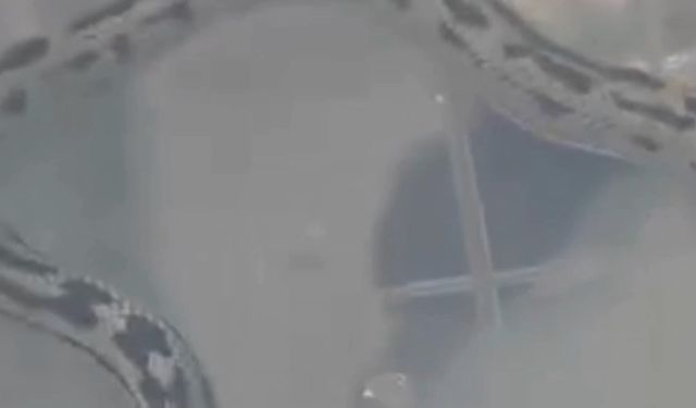 Evinde izinsiz 42 yılan beslerken yakalandı