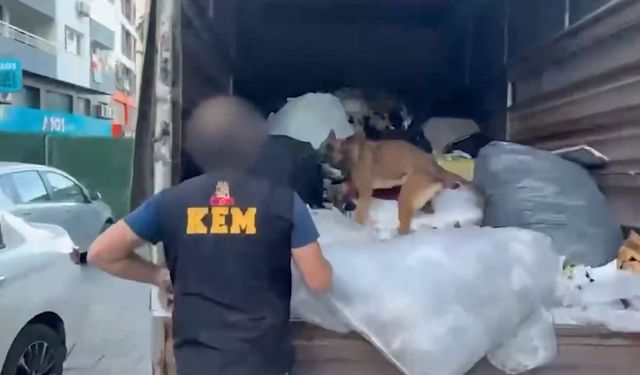 İzmir'de 371 kilogram uyuşturucu yakalandı