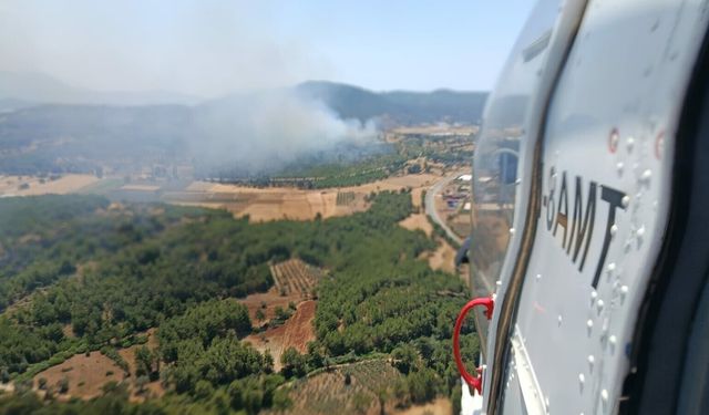 Muğla'da orman yangını