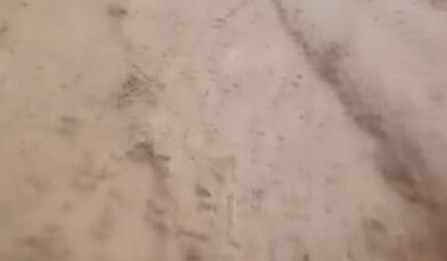 Niğde'de dolu yağışı etkili oldu
