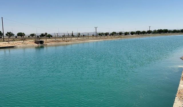 Şanlıurfa'da sulama kanalında ceset ihbarı