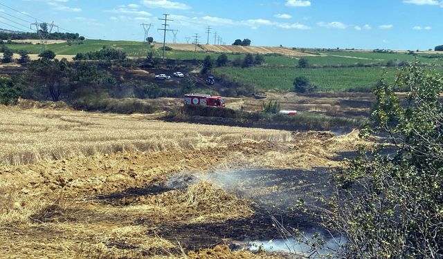 Tekirdağ'da Buğday Tarlasında Yangın