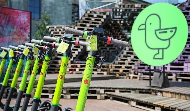 Martı ilk çeyrekte uçuşa geçti: Gelir %156 arttı