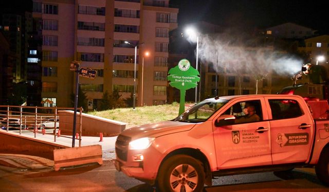Başkentte Sivrisinek ve Karasinek mesaisi!