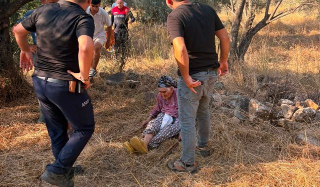 11 saattir aranan yaşlı kadın ormanlık alanda sağ bulundu