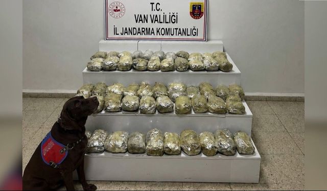 24 ilde uyuşturucu operasyonu