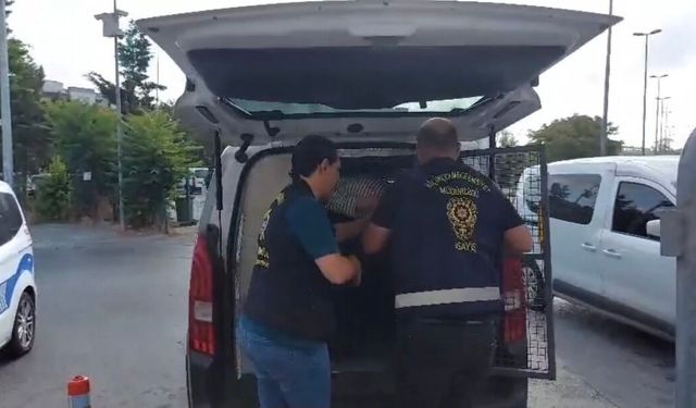 8 aylık hamile eşine tatlı almaya çıktı gasp girişiminde bıçaklandı