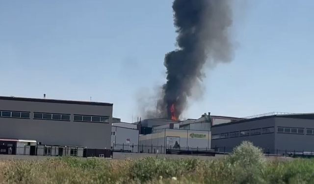 Ankara'da Fabrikada Korkutan Yangın!