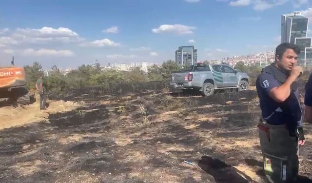 Ankara'da ODTÜ Ormanı'nda yangın
