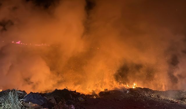 Bodrum’da gece saatlerinde yangın paniği