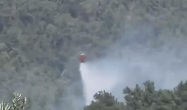Bodrum'da Orman Yangını!