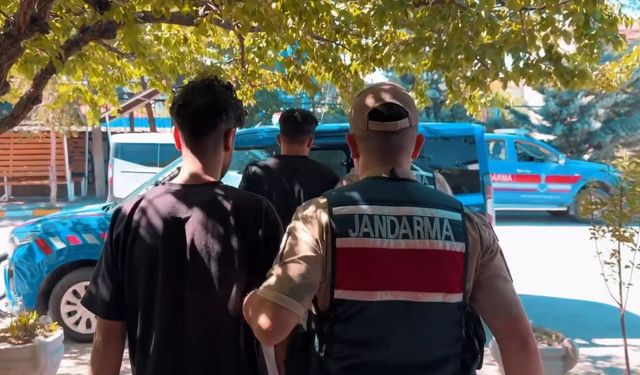 Çobanları silahla tehdit edip 800 küçükbaşı çaldılar