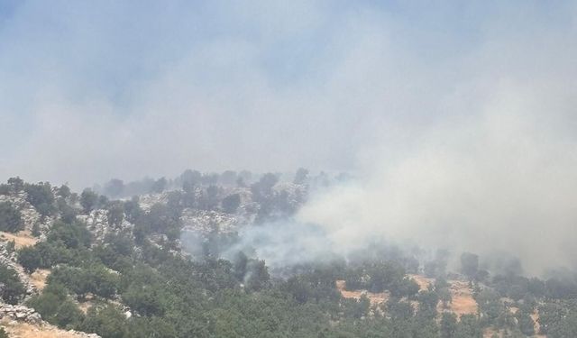 Çüngüş'te Örtü Yangınına Ekiplerin Müdahalesi Devam Ediyor