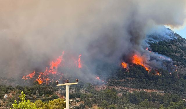 Fethiye'deki orman yangını yerleşim alanlarına sıçradı