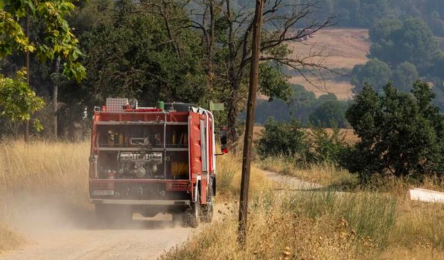 İspanya'da 12 bin hektar alan yandı