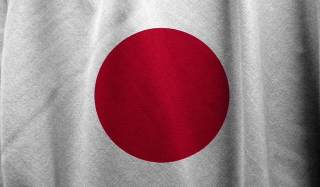 Japonya'da ahşap evde yangın çıktı