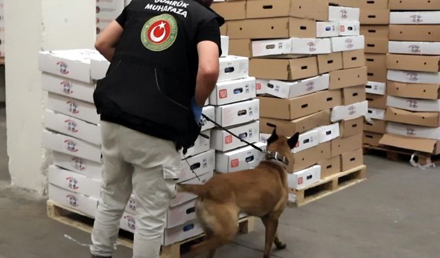 Kapıkule'de TIR'da 526 kilo uyuşturucu yakalandı