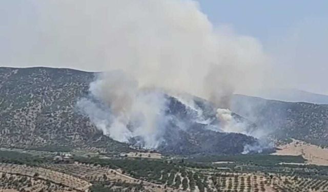 Malatya'da orman yangını alarmı: Ekipler alevlerle mücadele ediyor