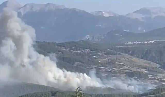 Muğla'da orman yangını!