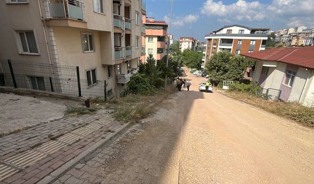 Otomobil apartmanın bahçesine uçtu