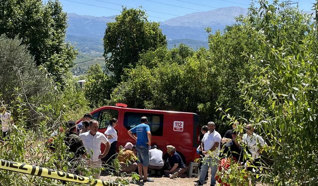 Otomobil, bağ evine daldı