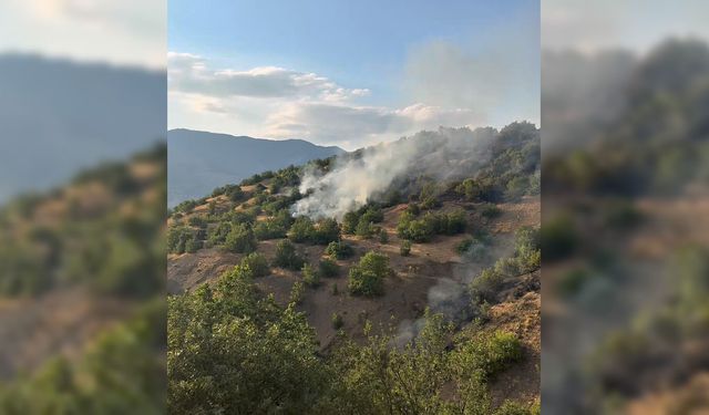 Pütürge'deki Orman Yangını 21 Saatlik Mücadelenin Ardından Kontrol Altına Alındı