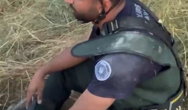 Rögara keçi düştü!