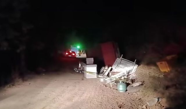 Sakarya'da kamyonet devrildi
