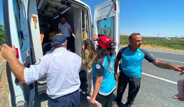 Şanlıurfa'da otomobil minibüse arkadan çarptı: 12 yaralı