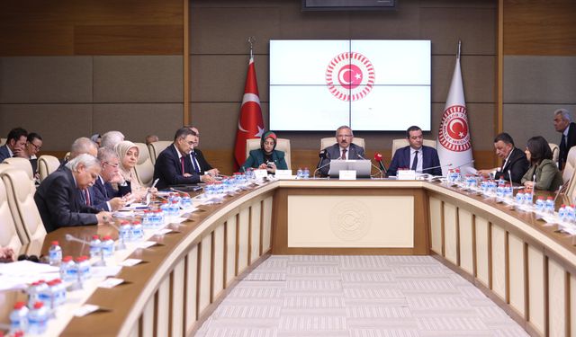 TBMM Komisyonu'nda dikkat çeken silah çağrısı: "Bireysel silahlanmaya sınır getirilmeli"