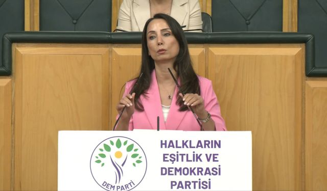 "Temmuz ayında çerçeve yasayı çıkaralım"