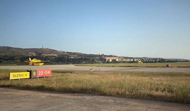 Türkiye'den Fransa'ya Orman Yangını Desteği!
