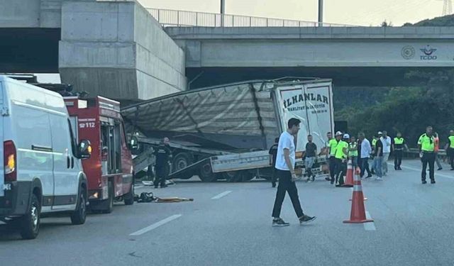 Bursa'da tavuk eti yüklü TIR köprü duvarına çarptı: Sürücü yaşamını yitirdi