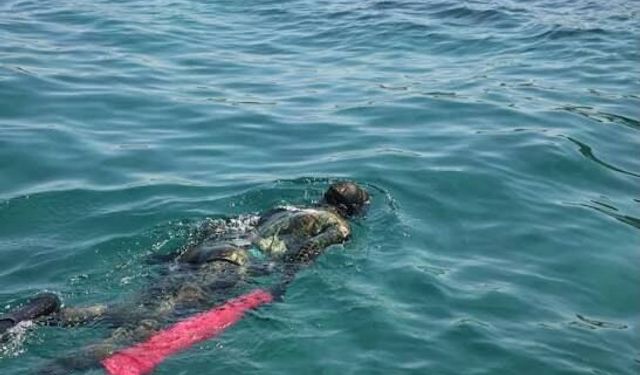 Bodrum'da denizden 410 kilogram atık çıkarıldı