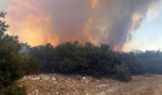 Eskişehir'deki Yangın Kontrol Altına Alındı
