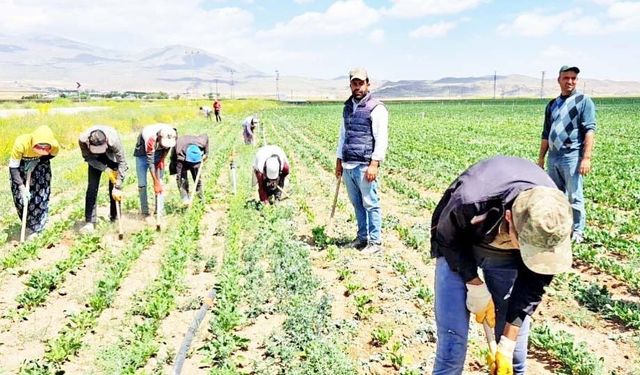 İSAF’tan Yaz Sıcağı Alarmı: Çalışan Sağlığı İhmal Edilmemeli