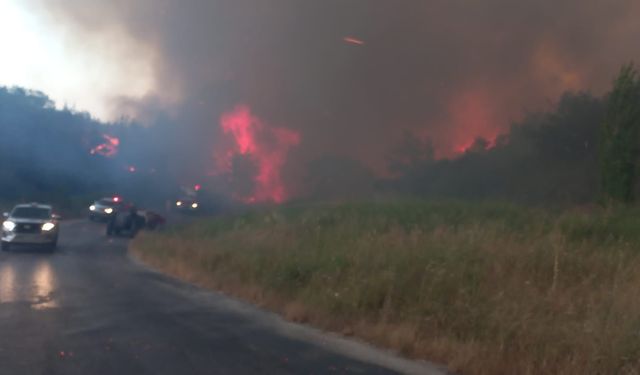 Çanakkale'de Otluk Alanda Yangın Ormana Sıçradı!