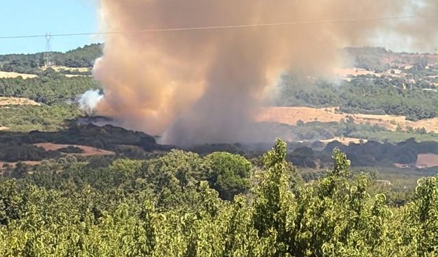 Çanakkale'de tarım arazisinde yangın