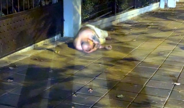 Çorlu’da ilginç görüntü! Aracını yol ortasında bırakıp kaldırımda uyudu