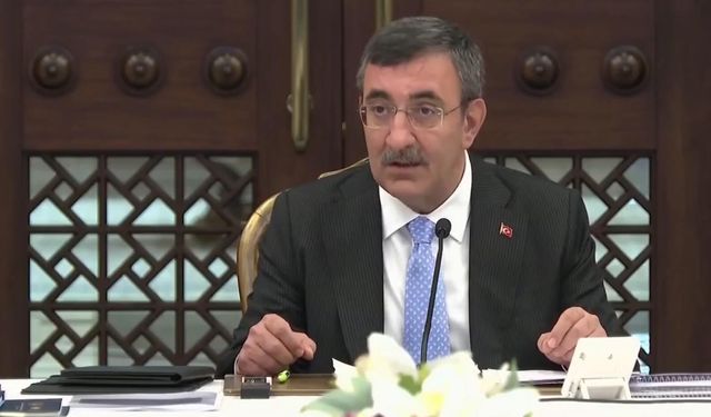 "Doğurganlık hızımız, Cumhuriyet tarihinin en düşük seviyesine indi"