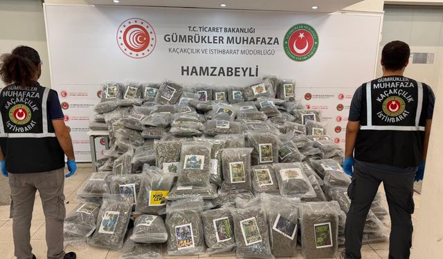 Hamzabeyli Gümrük Kapısı'nda 288 kilo esrar yakalandı