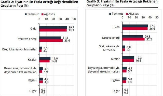 Hanehalkının Enflasyon ve Dolar Beklentisi Yükseldi