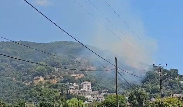 Marmara Adası'nda orman yangını
