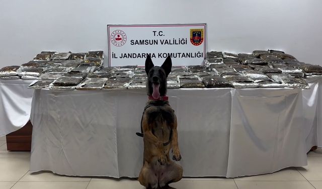 Samsun'da 132 kilo toz esrar ele geçirildİ