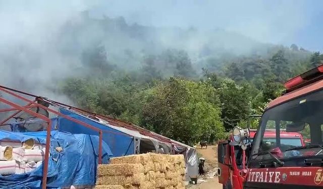 Bursa’da anız yangını! Alevler ormana sıçramadan söndürüldü