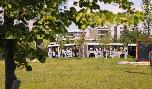 ABB’den Ankara’ya yeni kedi merkezi!
