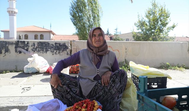 Çubuk'ta yaban meyveleri pazarcıların geçim kaynağı