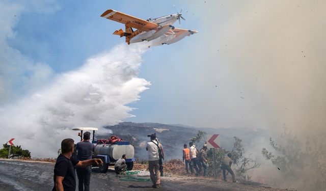 Orman yangınlarında 1 şüpheli tutuklandı